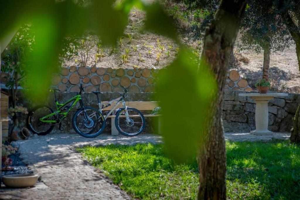 Quinta Vale De Frades Pension Torrão Buitenkant foto